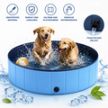 Hundepool Premium faltbar – Hund spielt im aufgestellten Pool